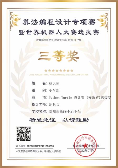設計賽 (安徽省)選拔賽——三等獎